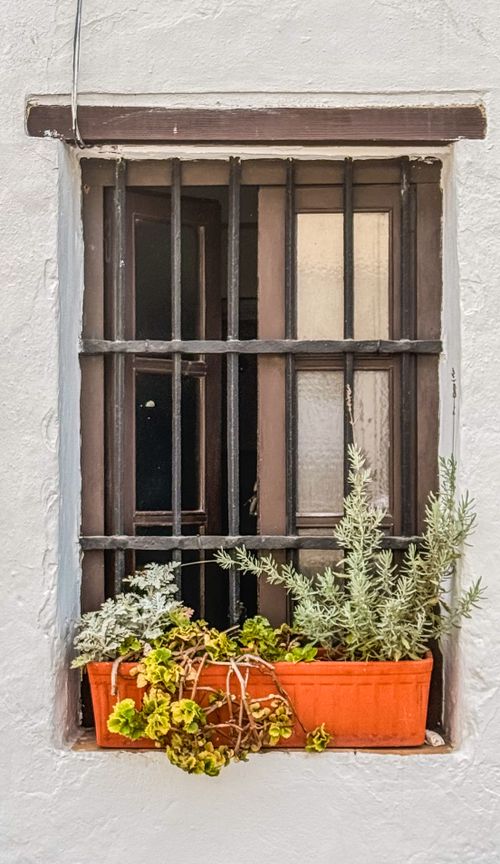Free Rustic window with iron bars and vibrant flower box adding charm to an exterior wall. Stock Photo