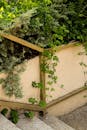 Lush Greenery on Outdoor Wall Staircase
