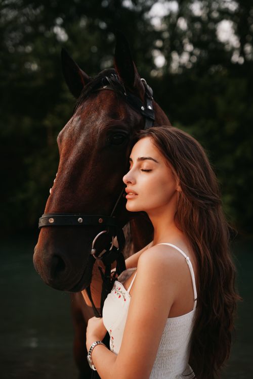 Free Young woman peacefully embraces horse outdoors in nature. Stock Photo