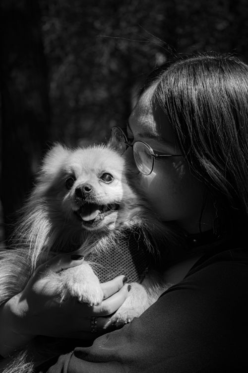 Free Emotional black and white portrait of a woman holding her Pomeranian dog outdoors. Stock Photo