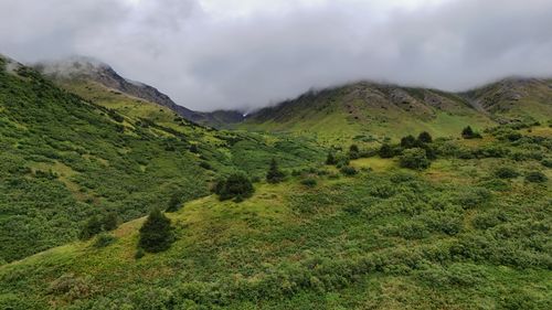 Free Lush green mountains obscured by clouds, capturing a serene summer landscape. Stock Photo