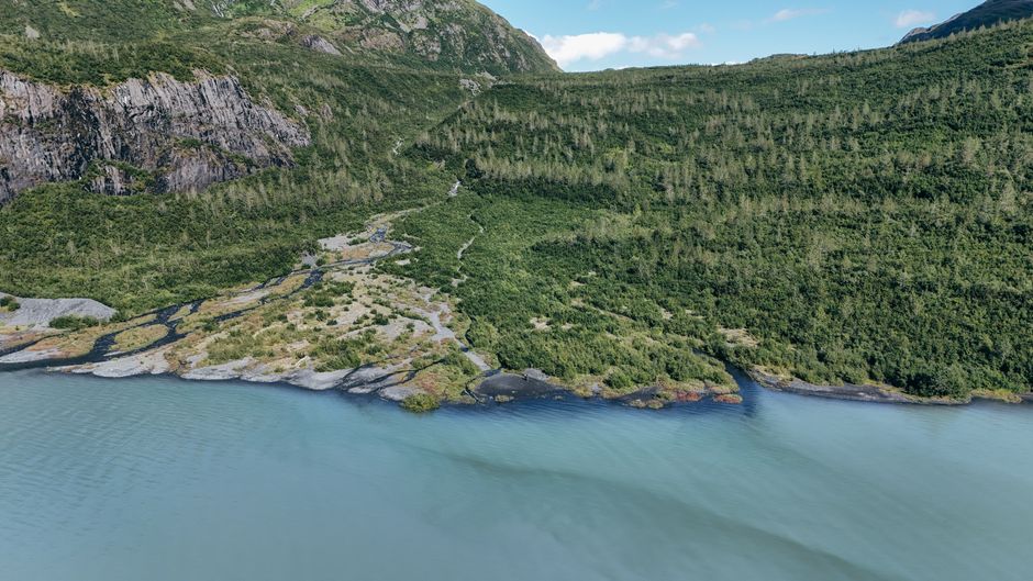 Juneau Shore Excursion: Helicopter Tour and Guided Icefield Walk - Breathtaking aerial shot of a lush green mountain landscape with a tranquil lake.