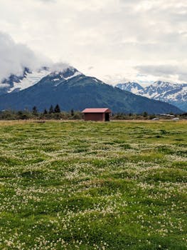 A rustic barn set against majestic snow-capped mountains and a lush green field under a cloudy sky.