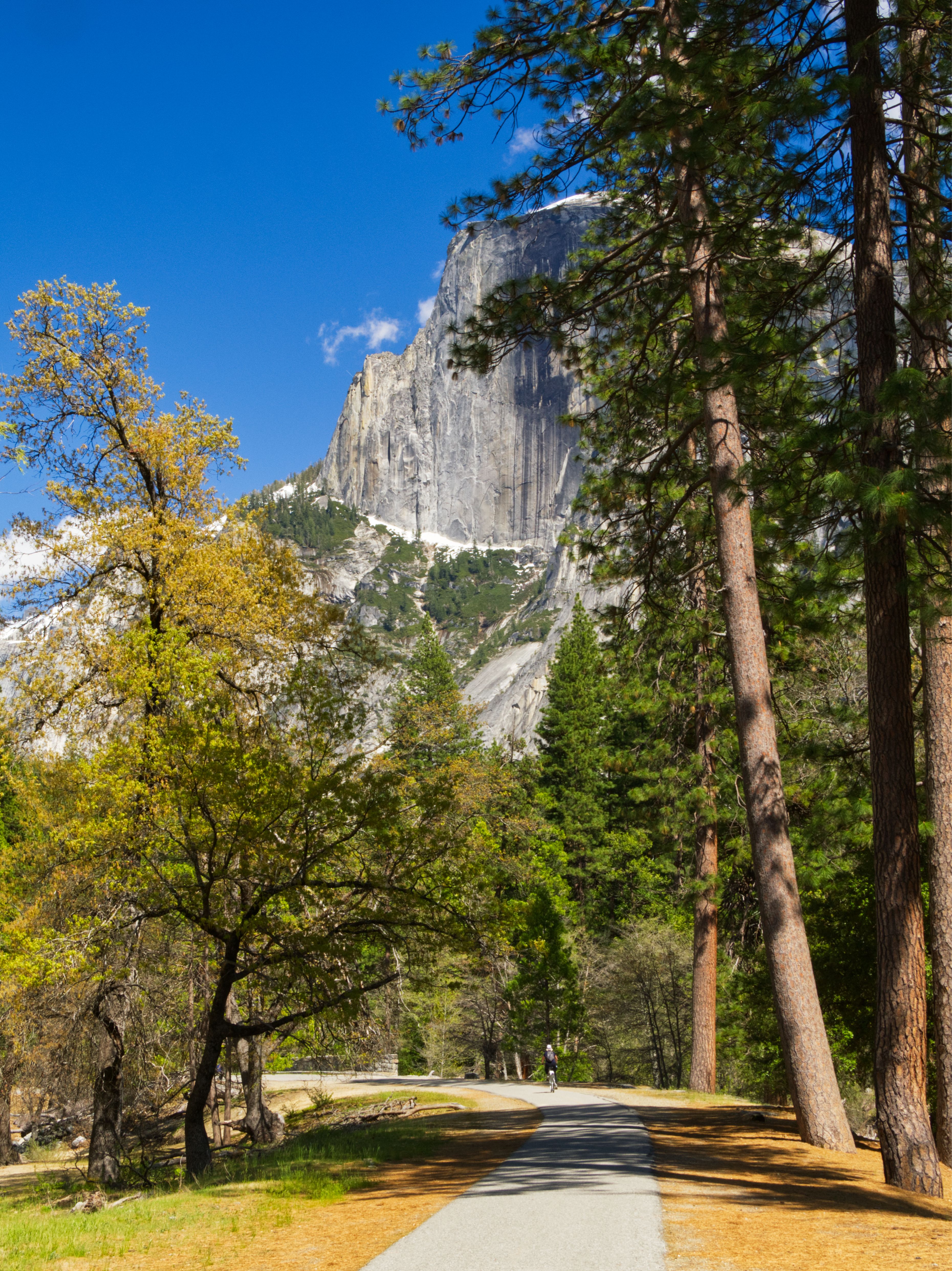 Explore the iconic Half Dome nestled in the lush landscapes of Yosemite National Park.