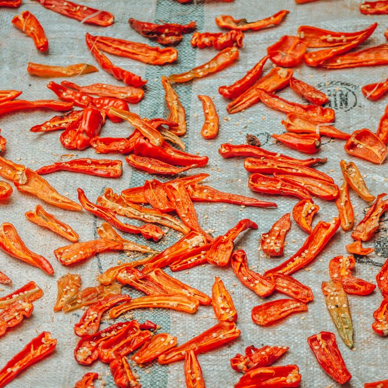 Charred Pasilla and Pumpkin Seed Dip