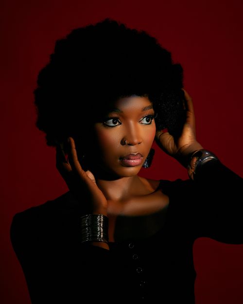 Free Artistic portrait of a woman with afro hair against a dark red background. Stock Photo