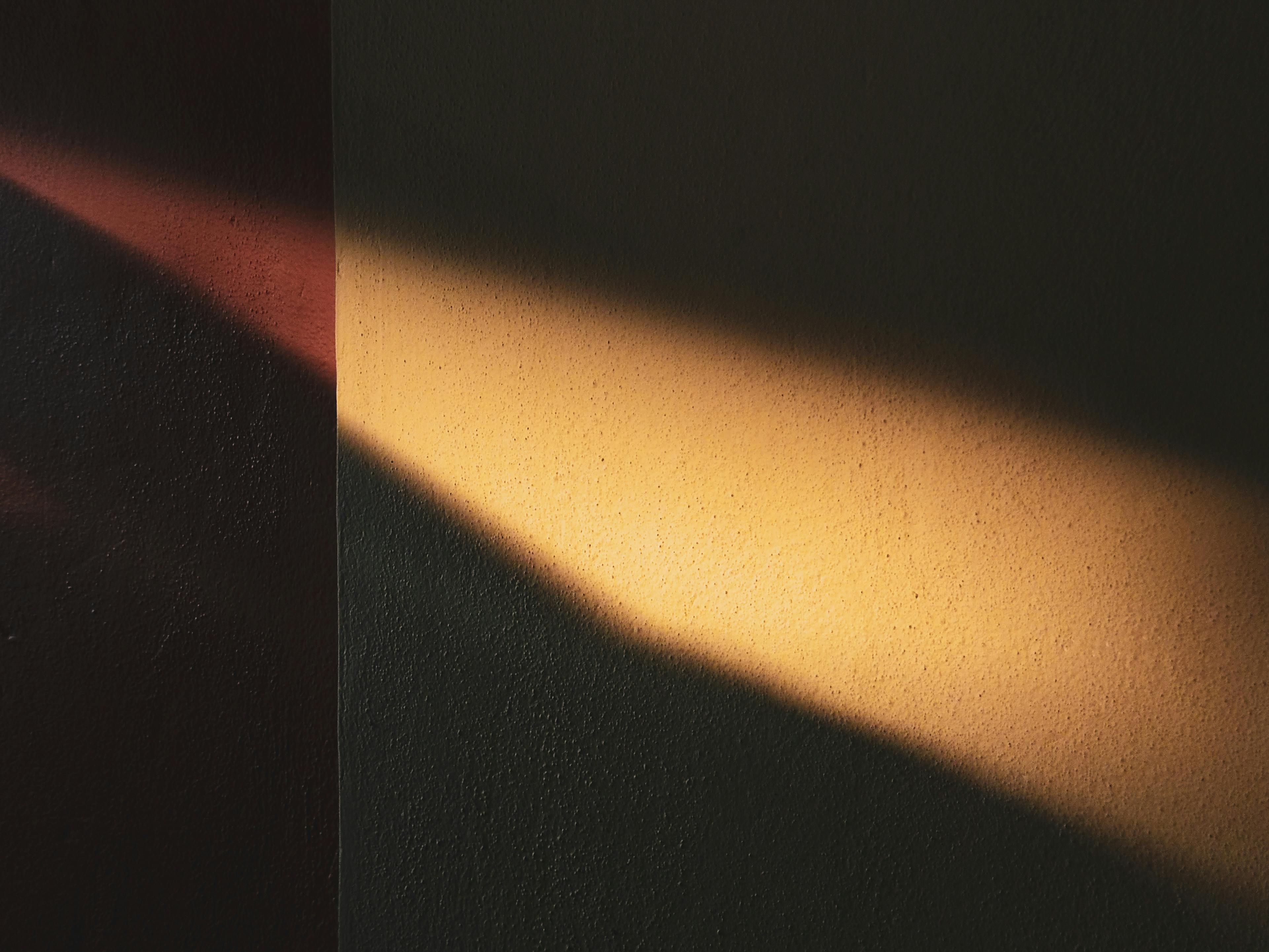 بيولوجيا الإبداع: موجات ألفا والفضاء الذهني