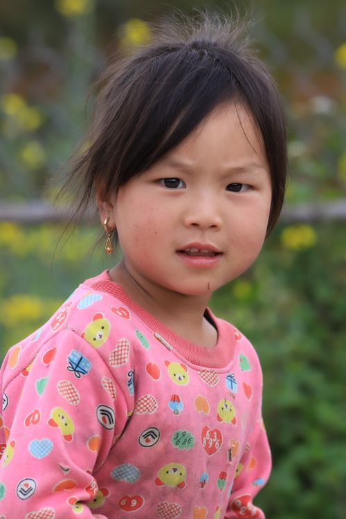 Free A young child in a colorful sweater with a curious expression, surrounded by nature in Lào Cai, Vietnam. Stock Photo