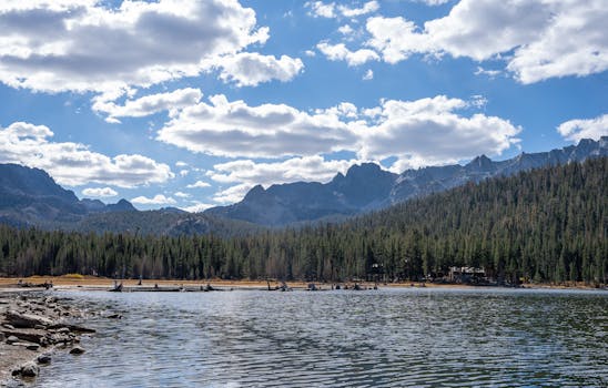 Mammoth Lakes, United States photo 4