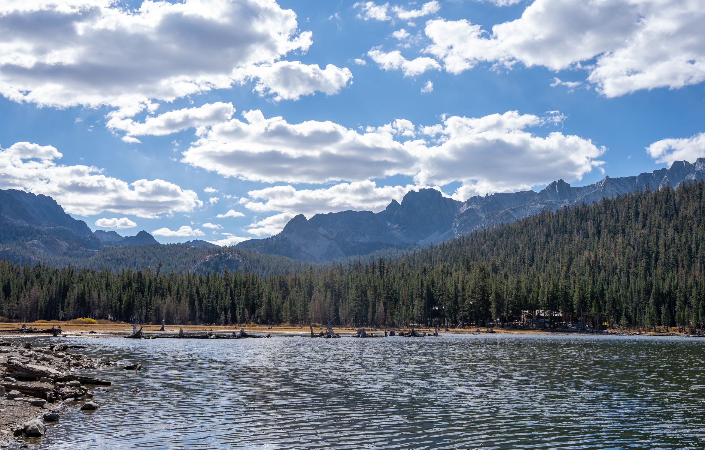 Breathtaking landscape of Mammoth Lakes with mountains, forest, and sky.