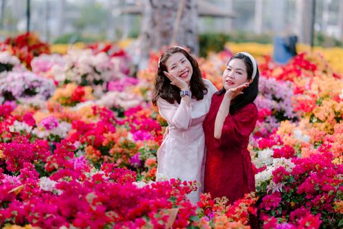 Free Two cheerful women pose among colorful spring flowers, smiling in a blooming garden. Stock Photo
