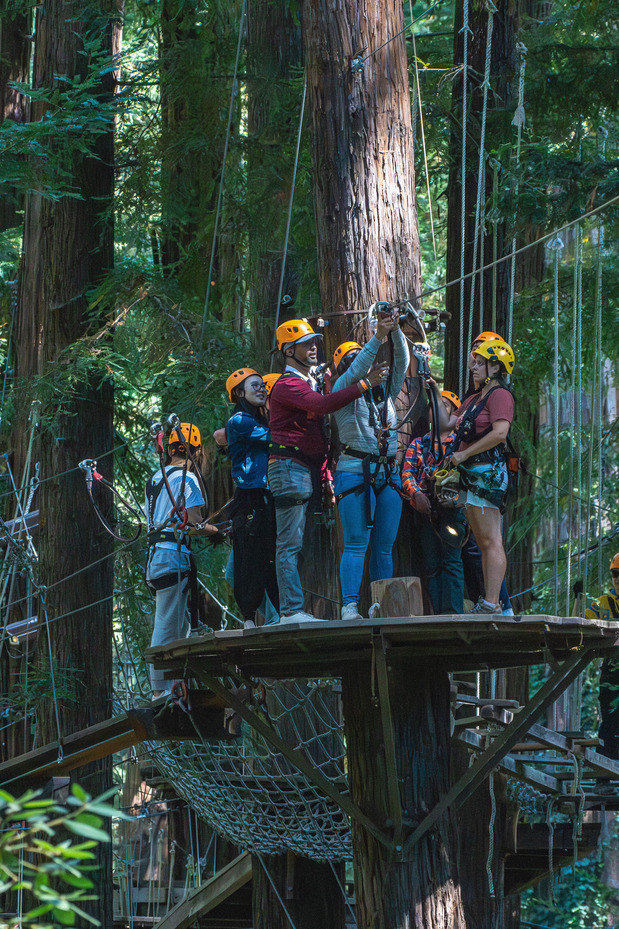 Zip Line