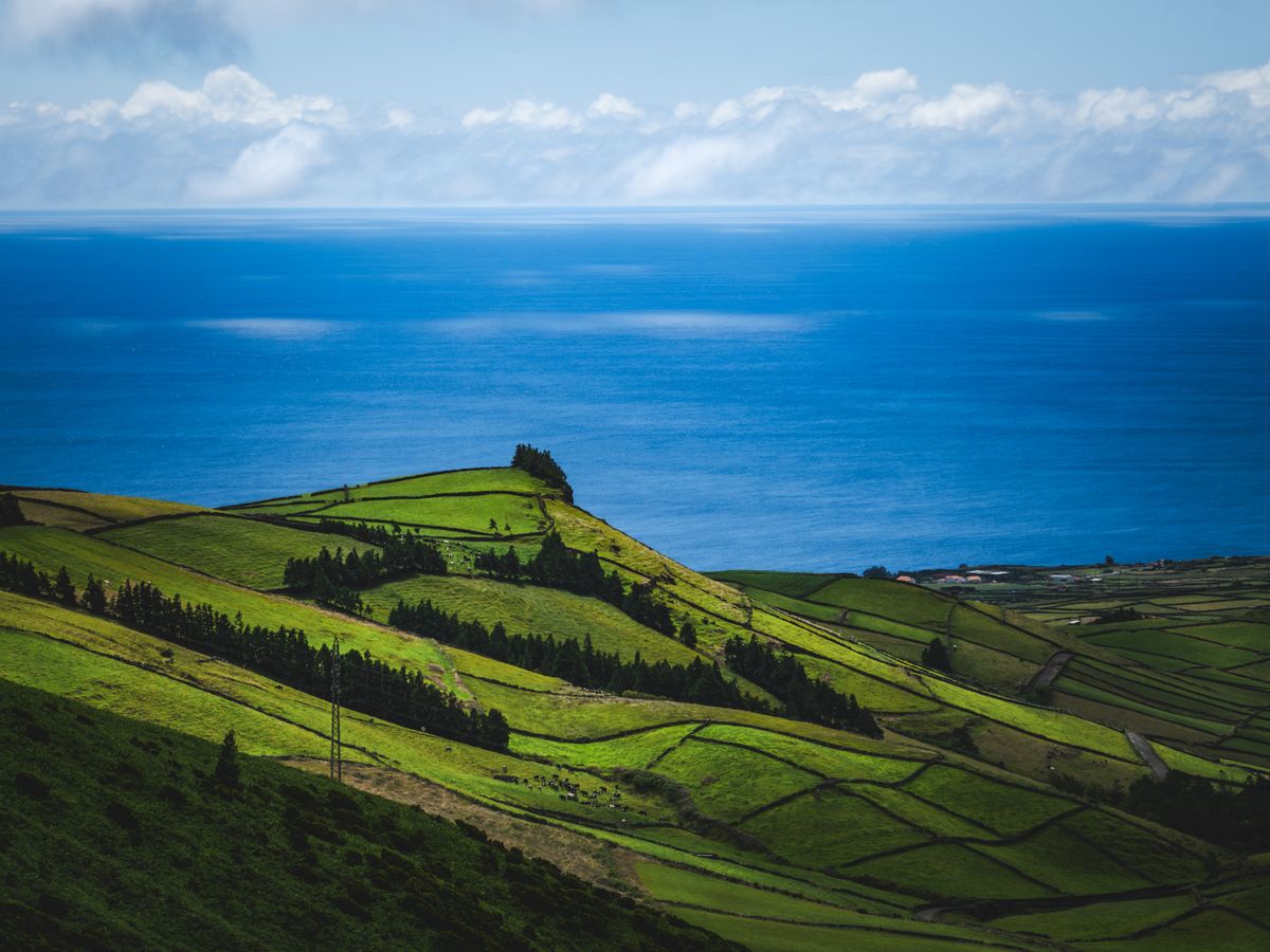 28 Day Ashtanga Vinyasa Yoga Therapy Retreat in Madeira, Portugal 1