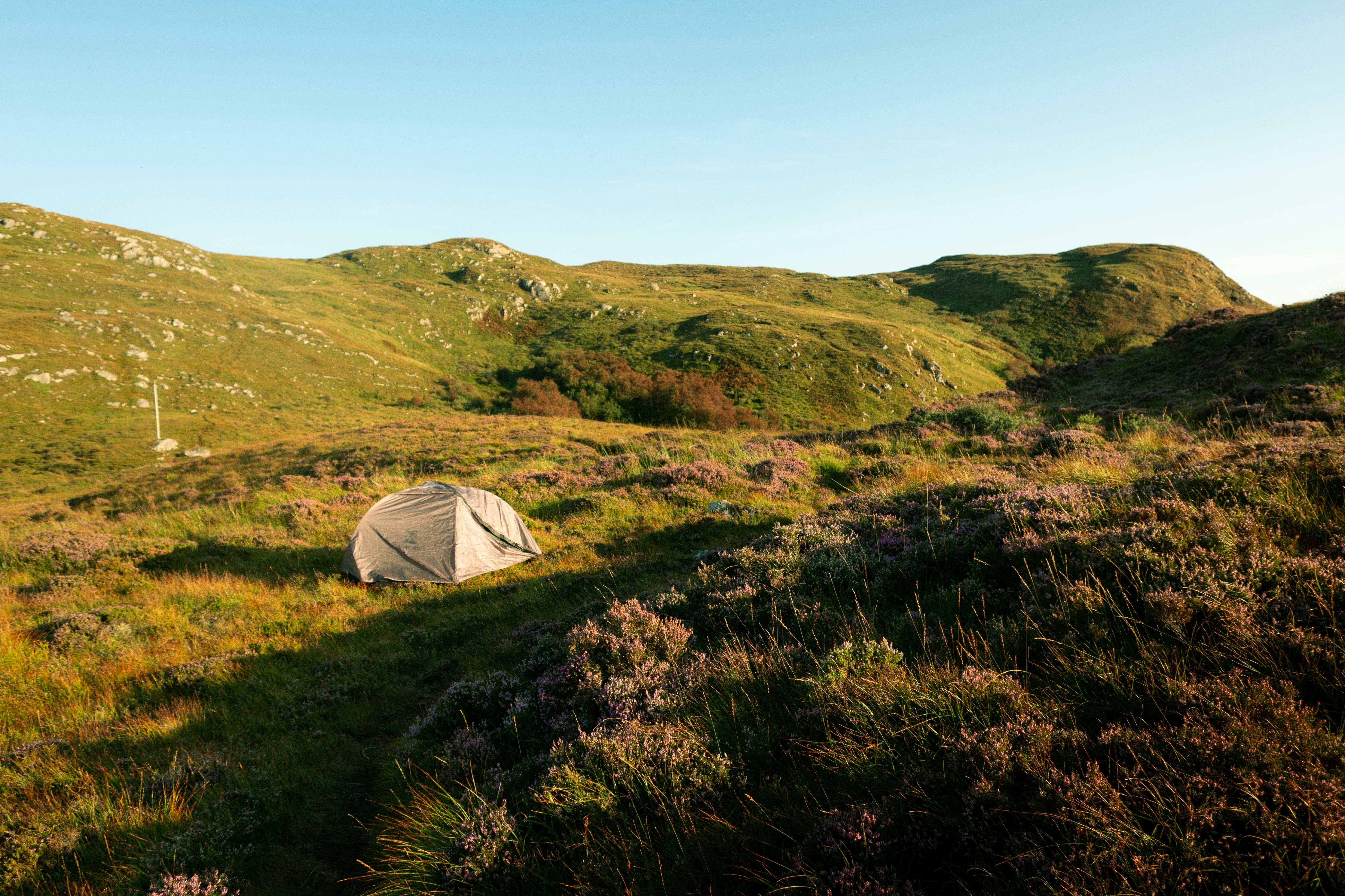 Eco-Friendly Vacation Experiences and Accommodations