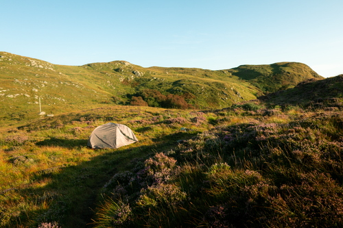 Free Tent setup in picturesque rolling hills during a sunny day. Stock Photo