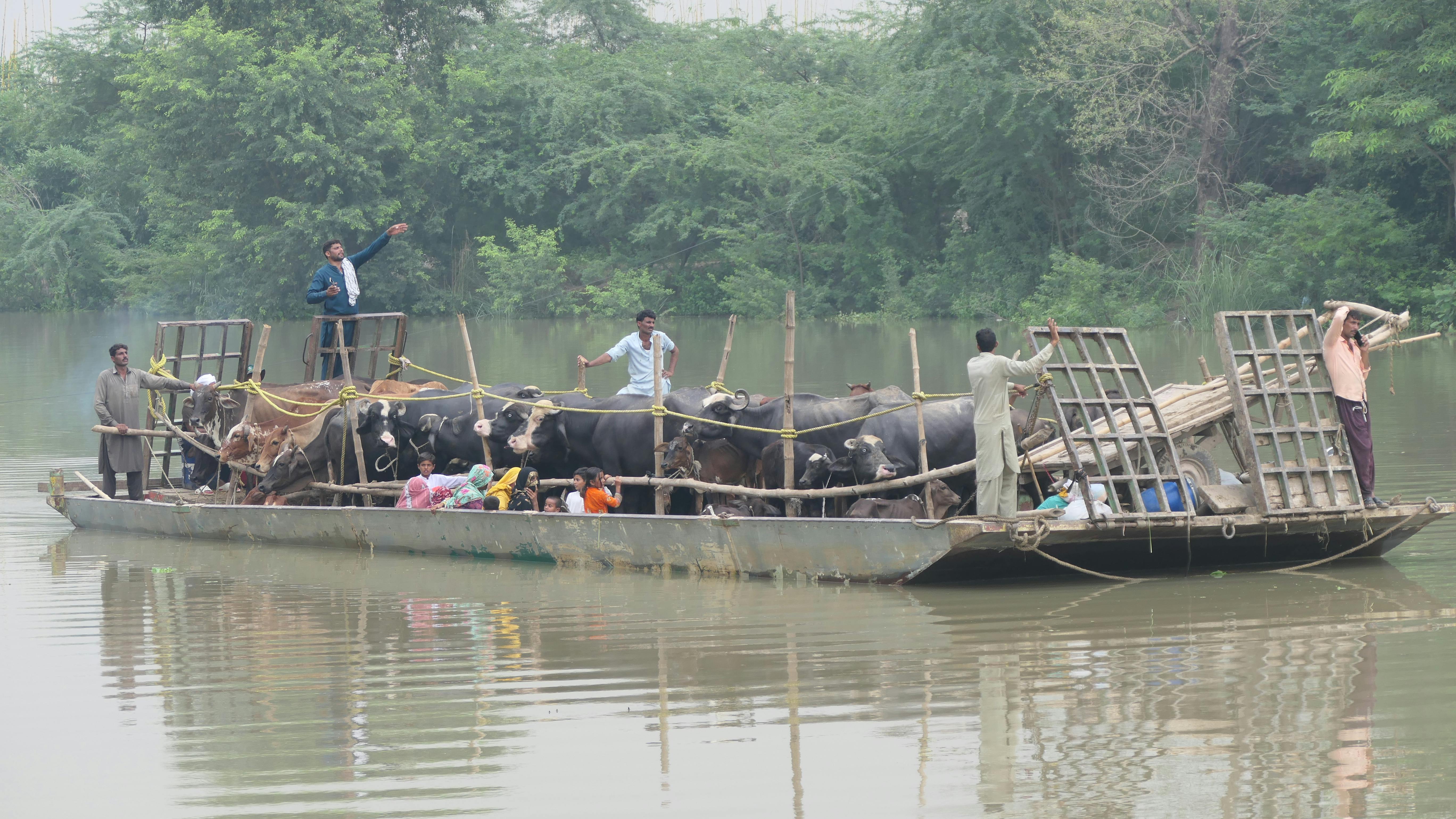 羅文嘉兩度致函海協會 籲停止政治干擾陸配除籍證明