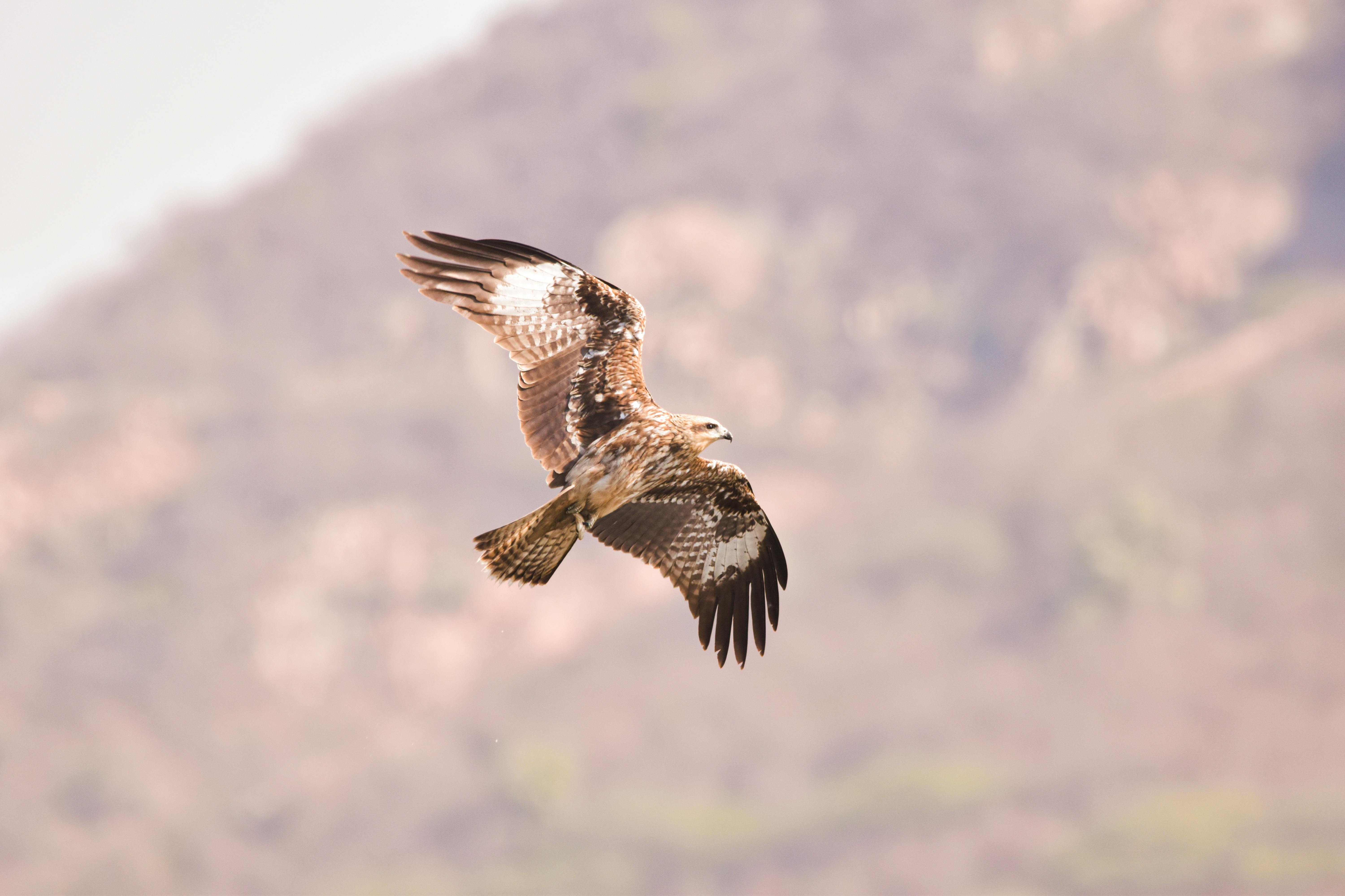 Girl+Legs+Spread Photos, Download The BEST Free