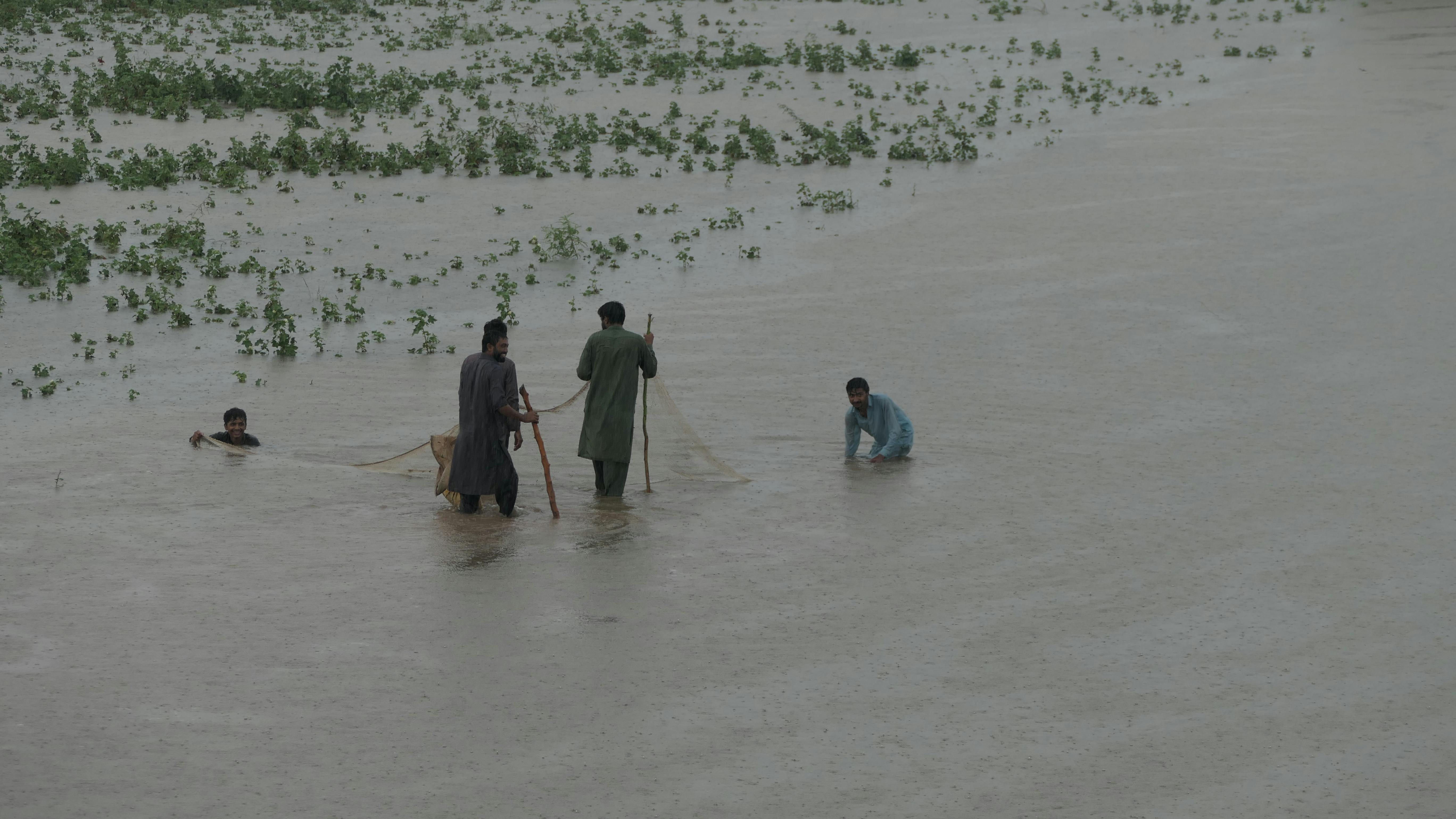 童子賢深度解析國際變局三大挑戰因素