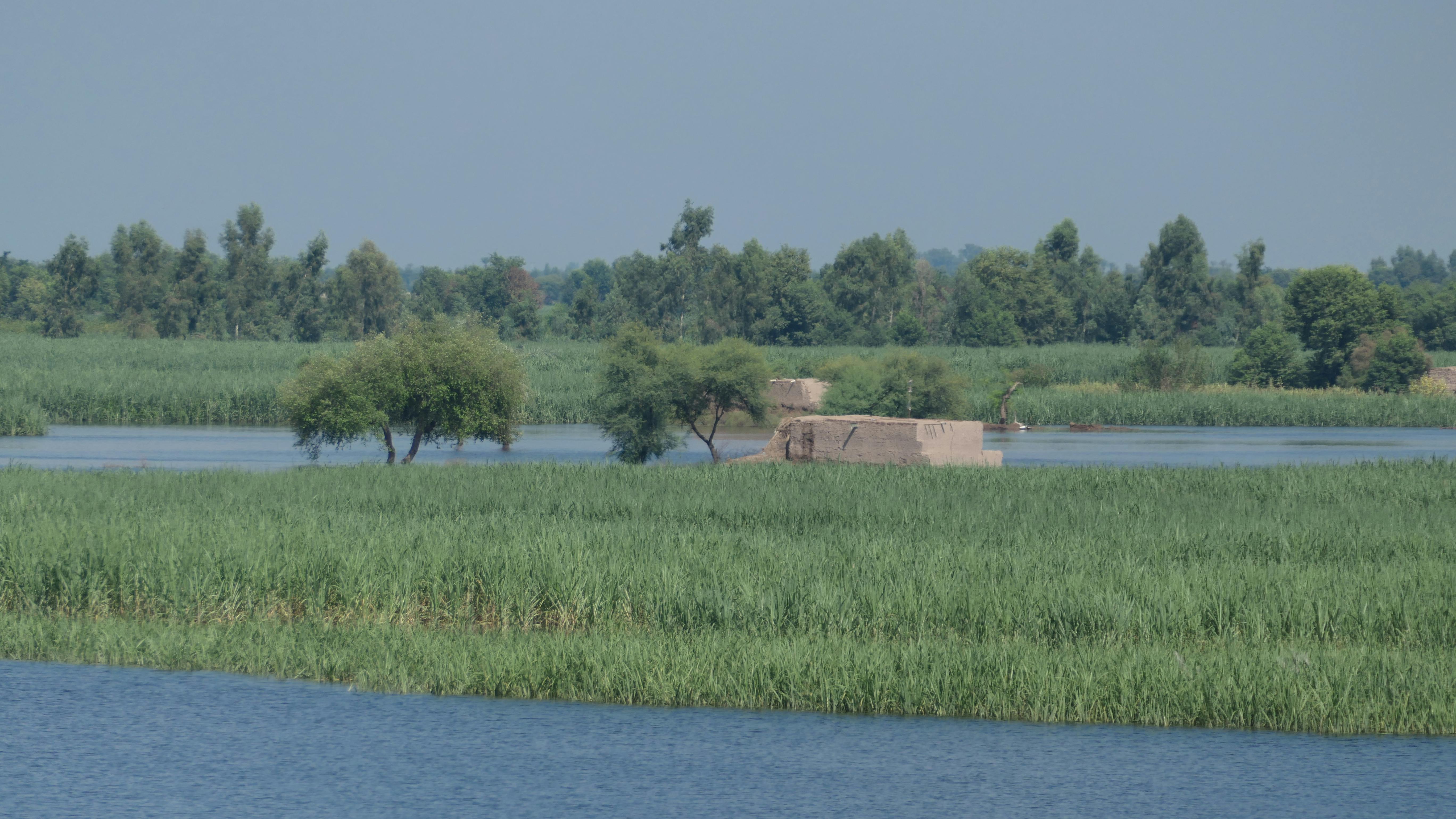 花蓮「以蛻為進」綠色生活月 蔬跑盃推動環保與健康飲食
