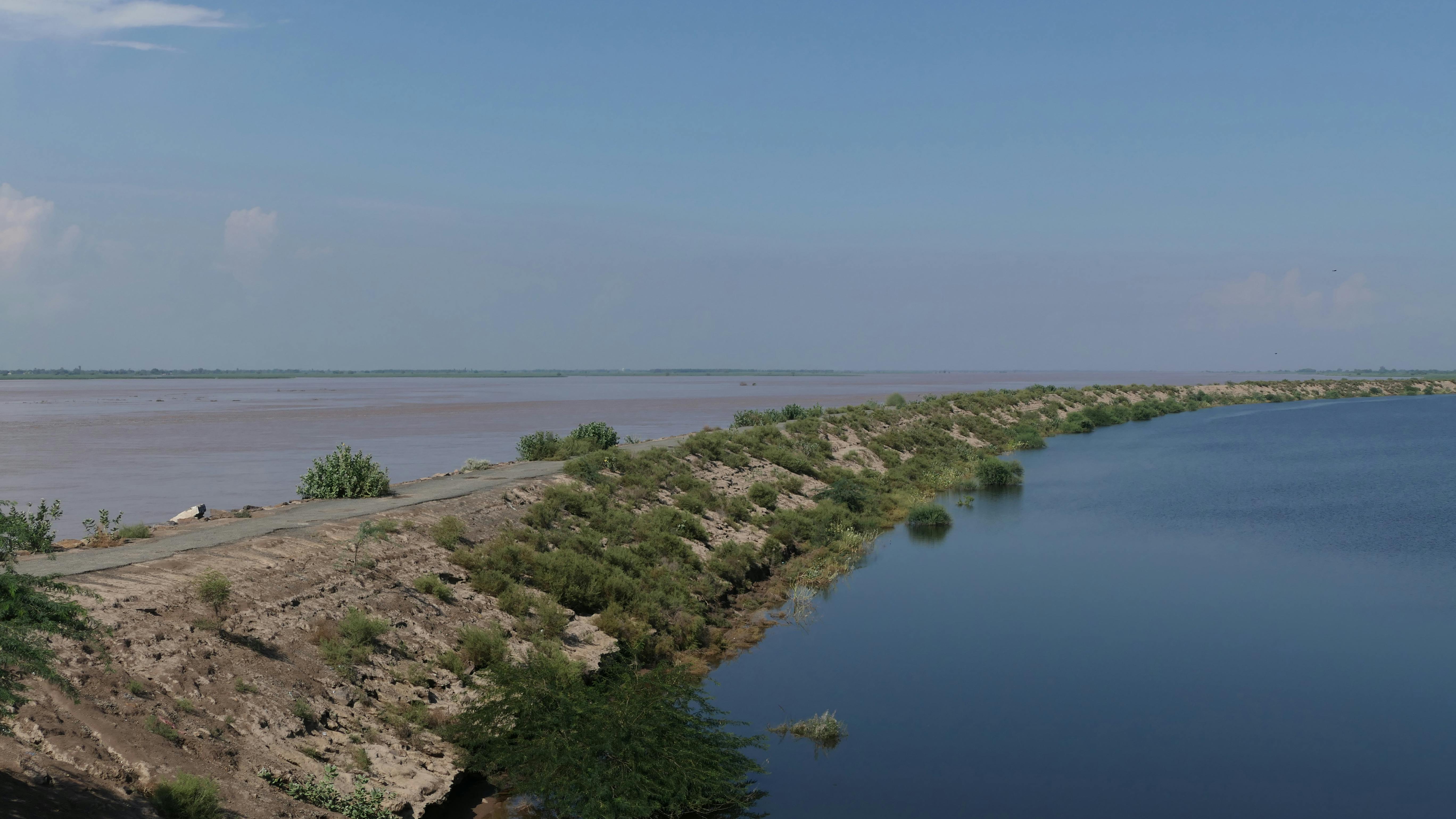 花蓮「以蛻為進」綠色生活月 蔬跑盃推動環保與健康飲食