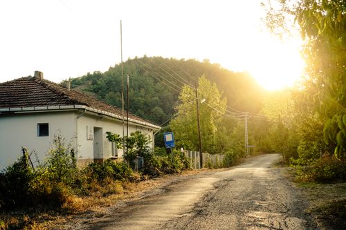 Free Charming rural road and countryside house at sunrise, surrounded by lush greenery. Stock Photo