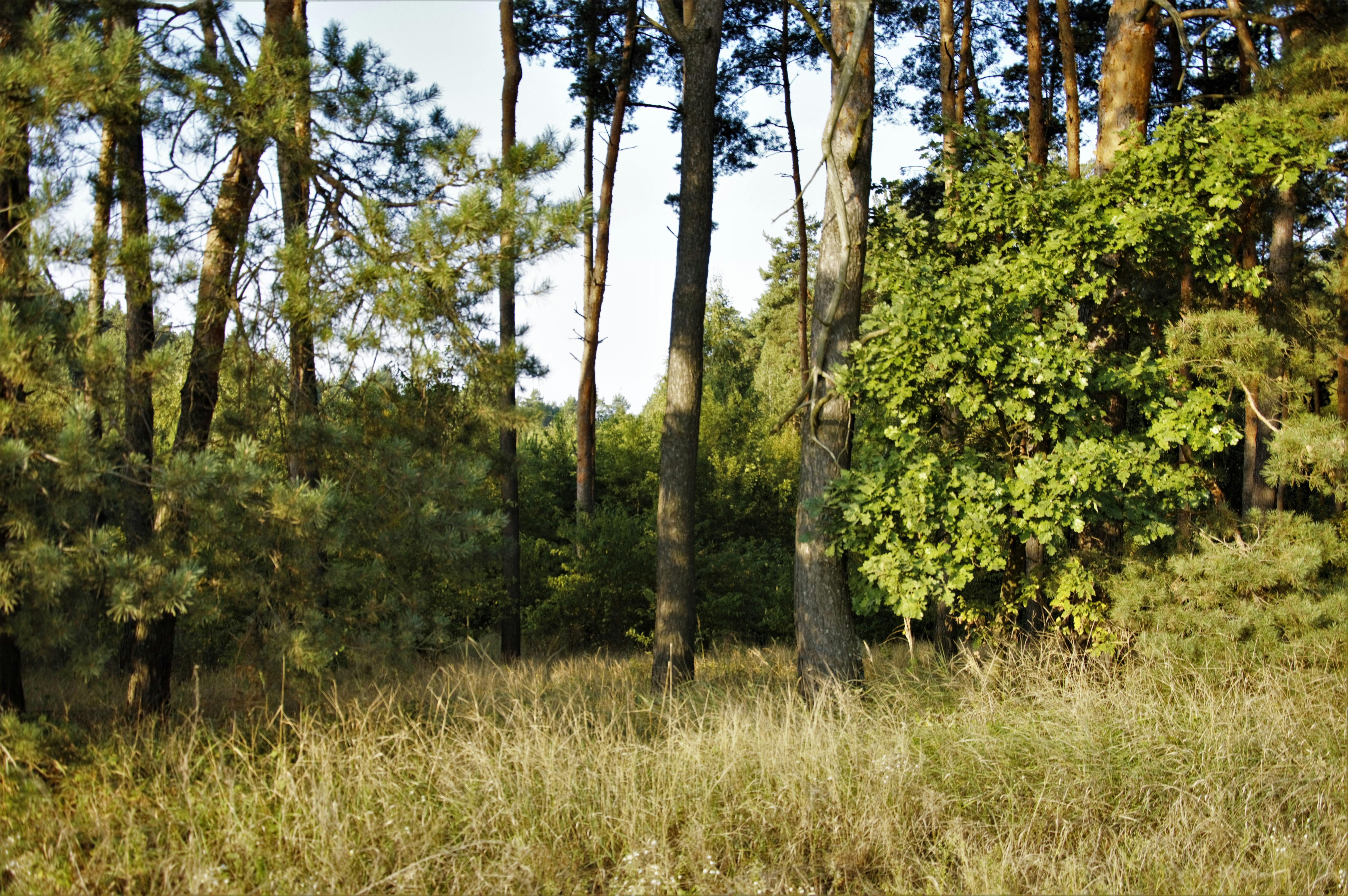 花蓮「以蛻為進」綠色生活月 蔬跑盃推動環保與健康飲食