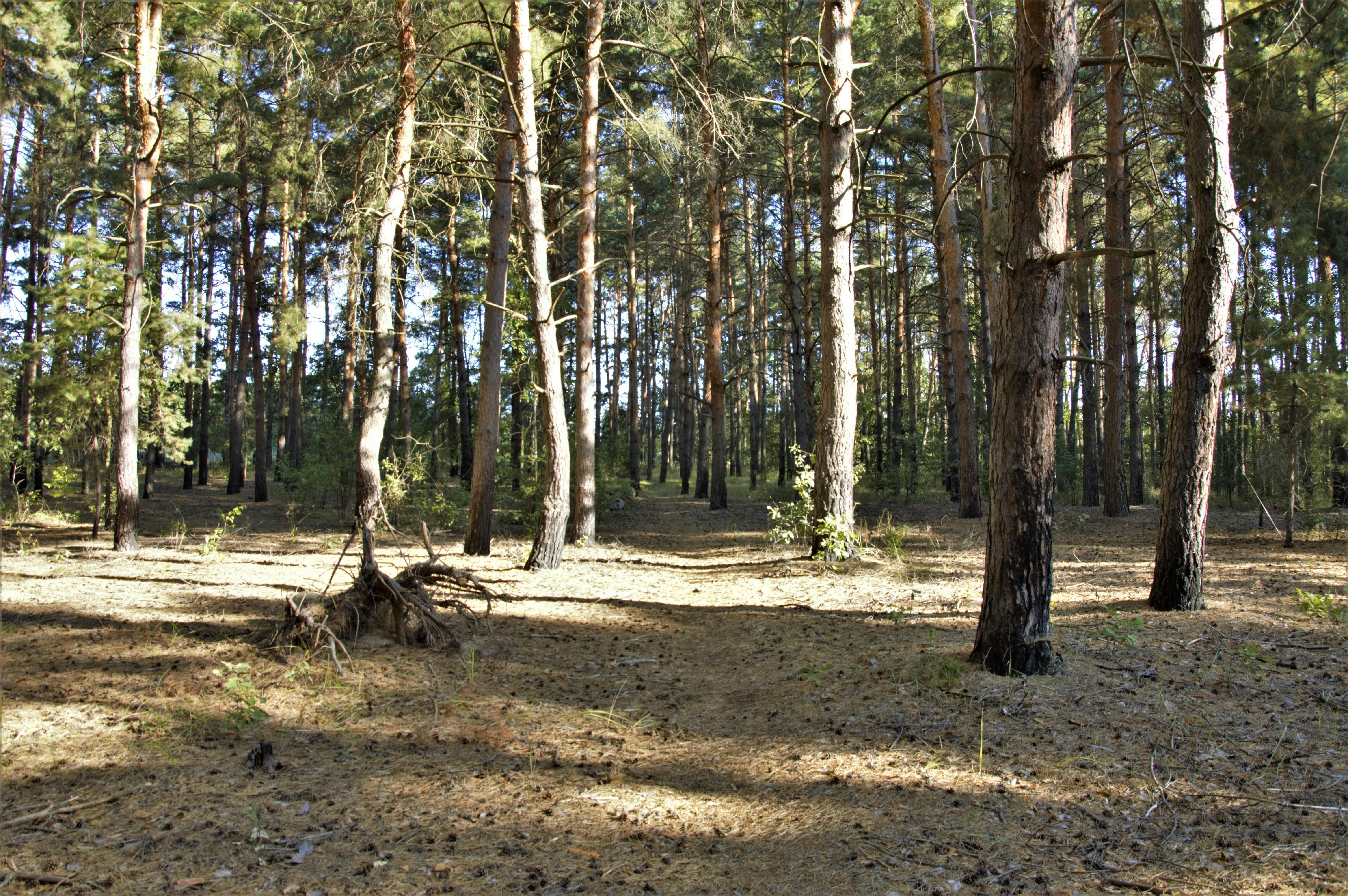 花蓮「以蛻為進」綠色生活月 蔬跑盃推動環保與健康飲食