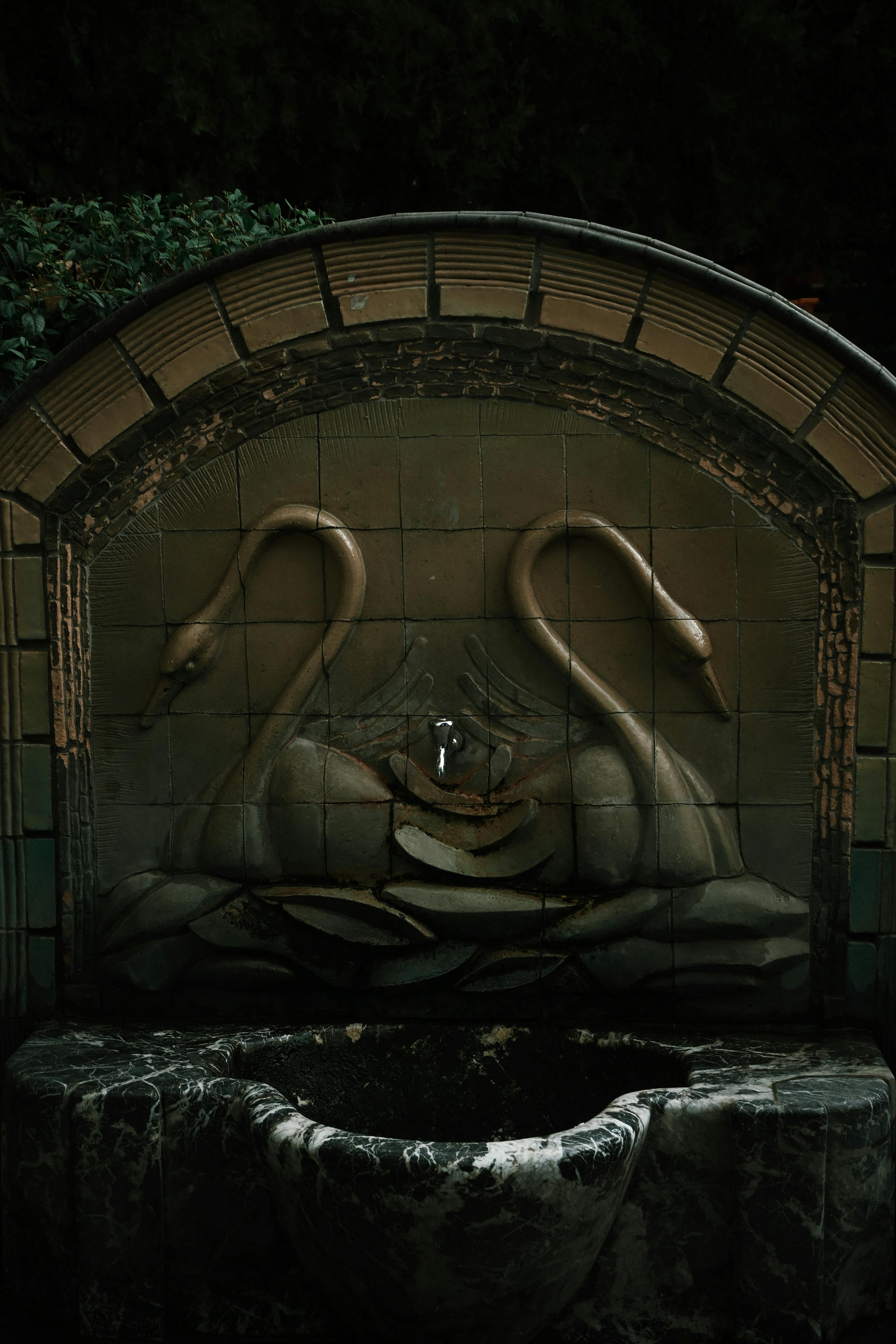 Girls+Flashing+In+Public+Gifs Photos, Download The BEST Free Girls