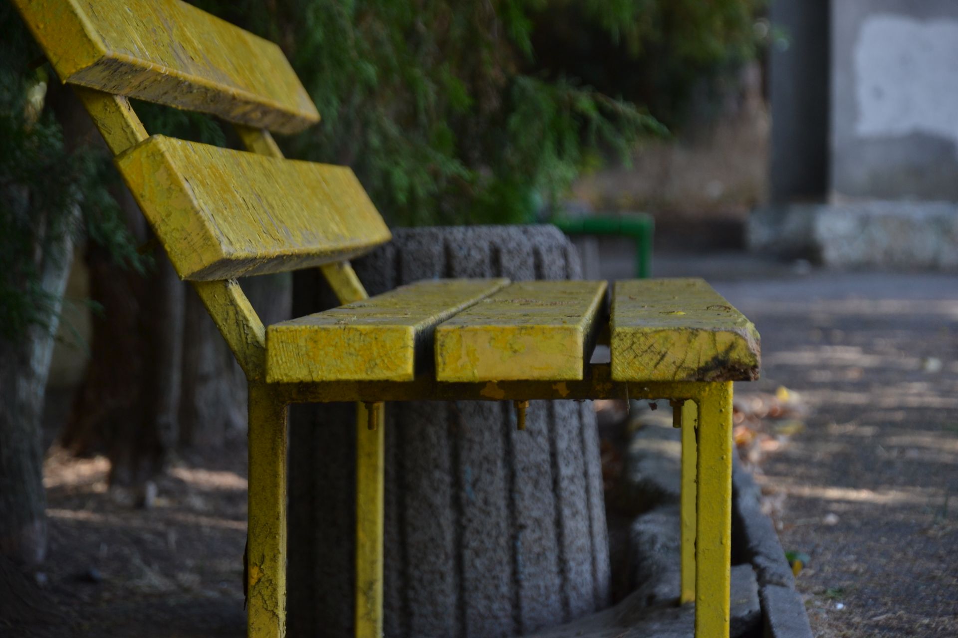 Vintage yellow bench in a serene outdoor park under tree shade.