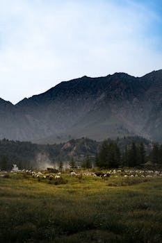 Vast mountain landscape with sheep grazing in lush green field under a dramatic sky.