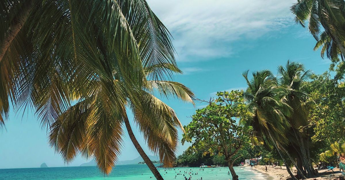 La responsabilidad social empresarial como herramienta para conservar playas y manglares en San Vicente y las Granadinas
