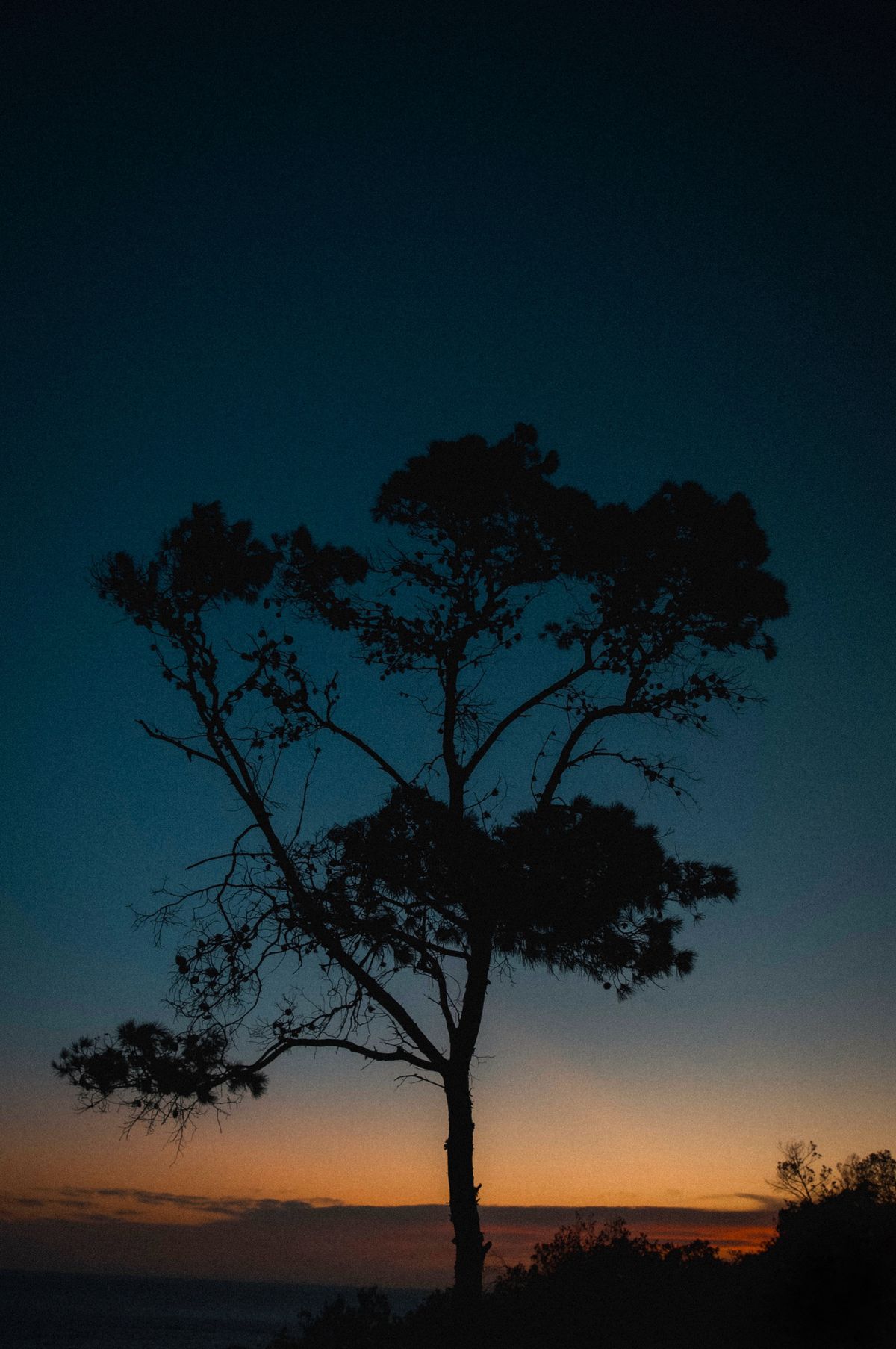 Blue Sunsets Photos, Download The BEST Free Blue Sunsets Stock Photos ...
