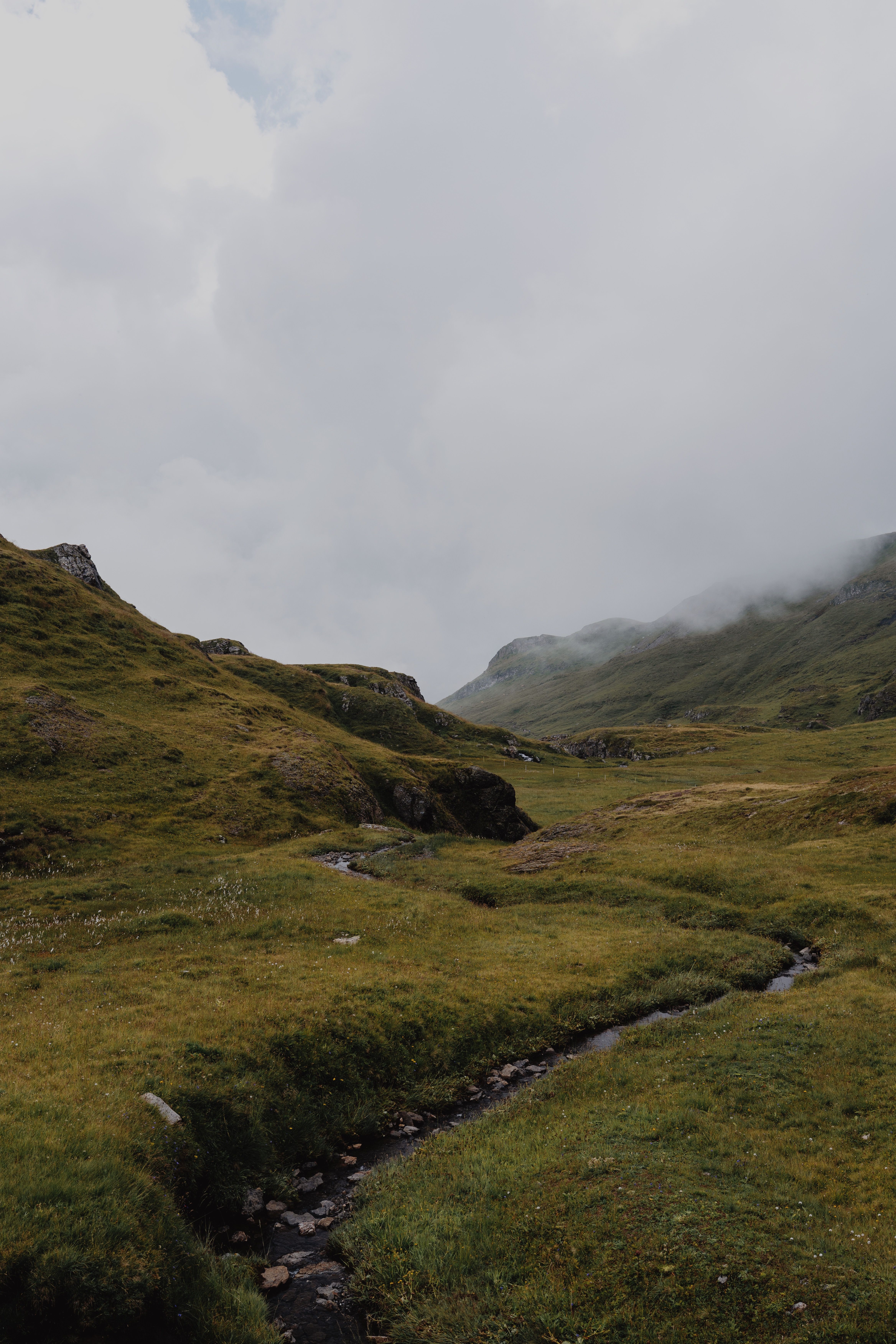 Serene misty landscape of mountains and meadows in Grindelwald, Switzerland.