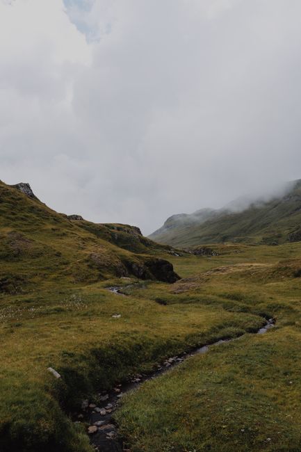 Serene misty landscape of mountains and meadows in Grindelwald, Switzerland.