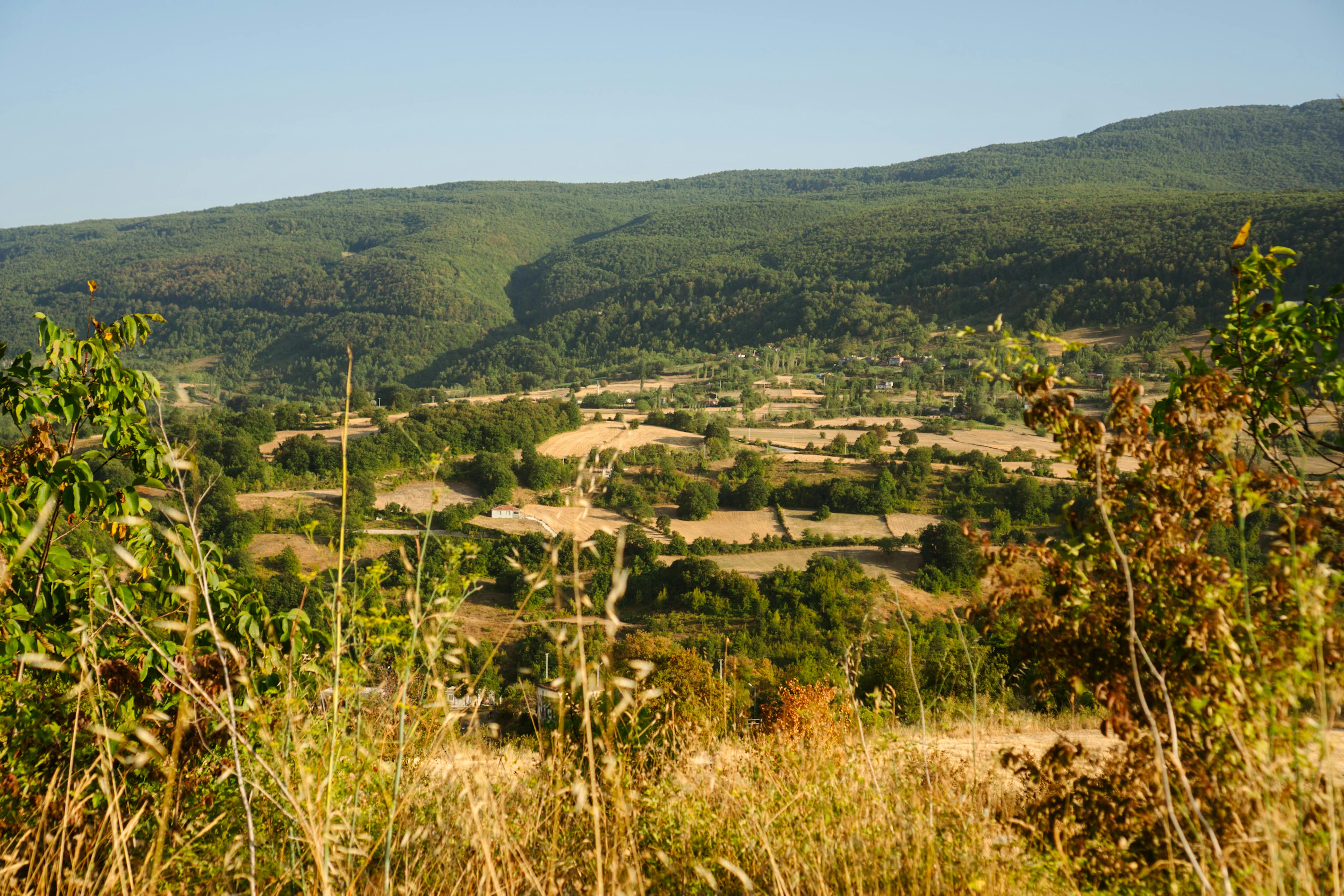 台日科技政策交流：聚焦地緣政治與氣候變遷挑戰