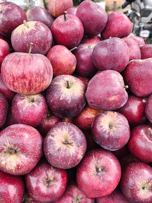Free Red Delicious Apples.  Stock Photo