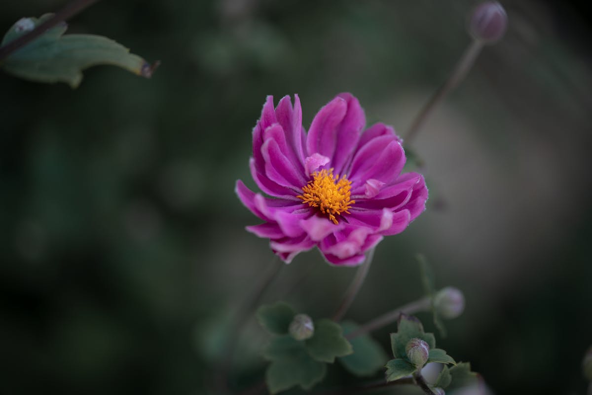 Photos+143+305*70 Photos, Download The BEST Free Photos+143+305*70 ...