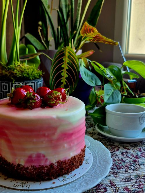 Free Delicious pink ombre cake adorned with strawberries, surrounded by vibrant houseplants. Stock Photo