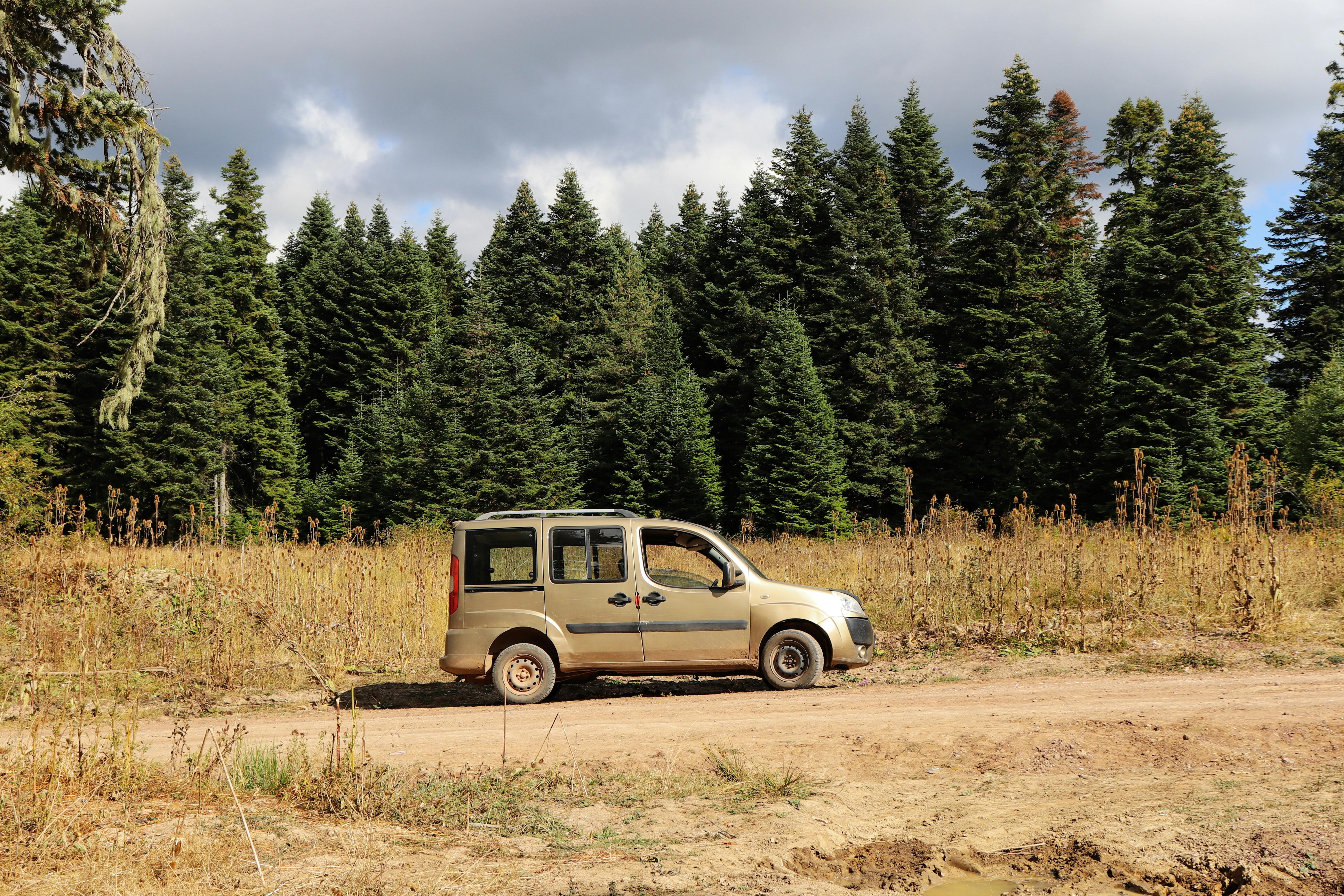 川普積極斡旋促白俄羅斯釋放52名政治犯