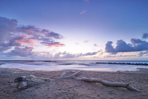 Free Tranquil sunset over Lønstrup Beach, Denmark with driftwood on sandy shore and colorful clouds. Stock Photo