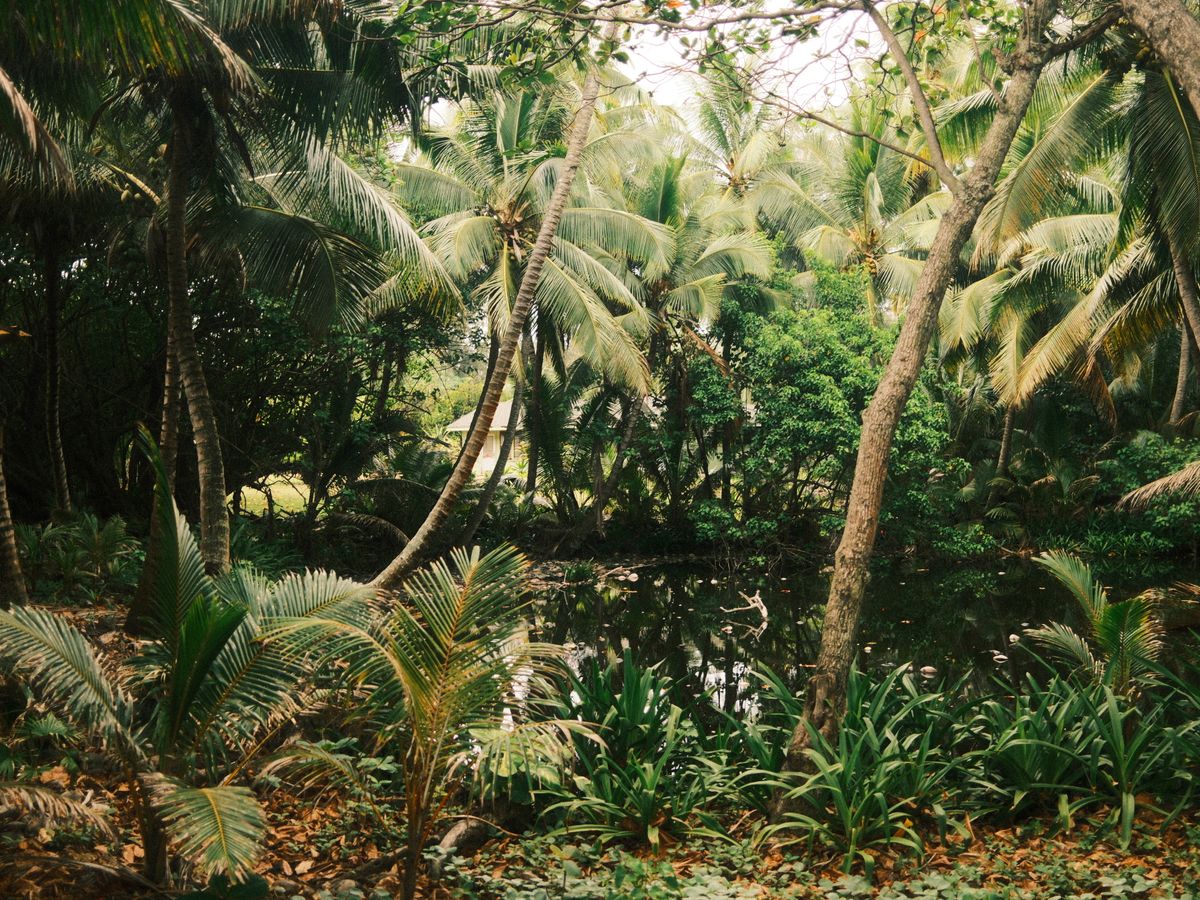 3 Day Sacred Intimacy Psychedelic Spiritual Retreat in Tulum 3