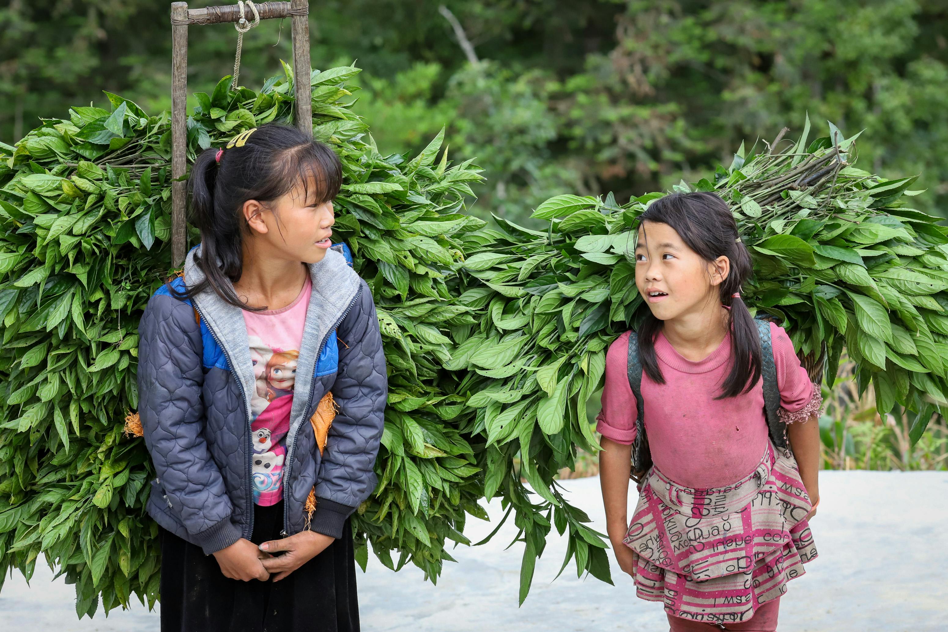 翠字號第三代科技優化越式麵包，搶攻新世代市場