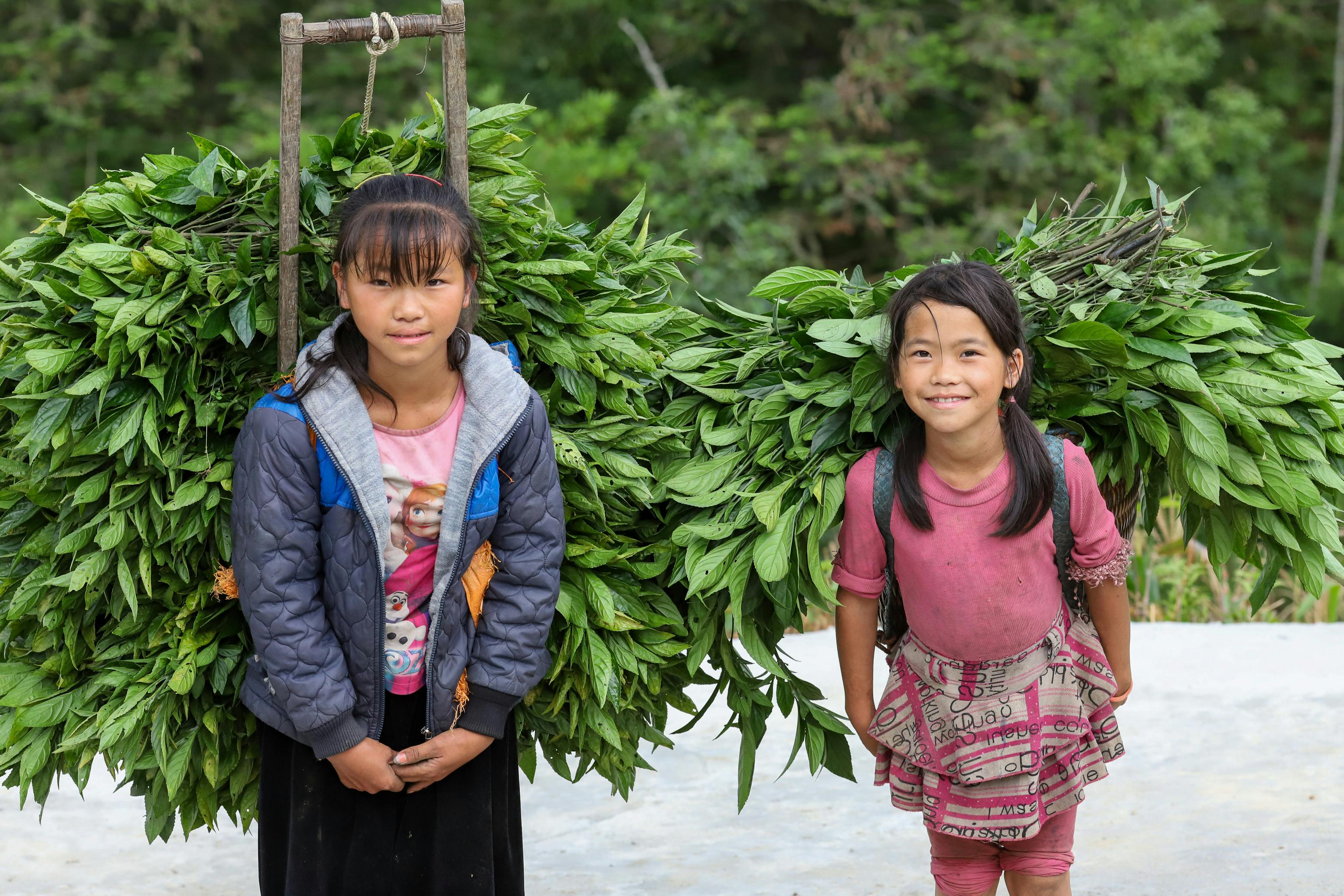 翠字號第三代科技優化越式麵包，搶攻新世代市場