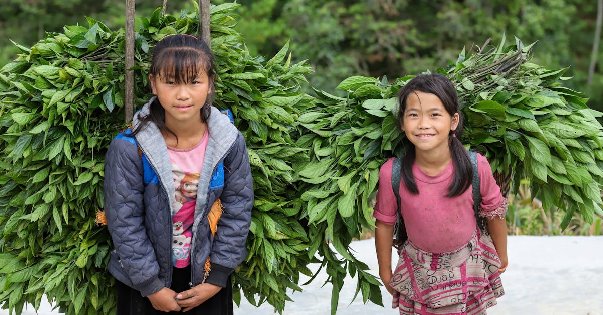 翠字號第三代科技優化越式麵包,搶攻新世代市場