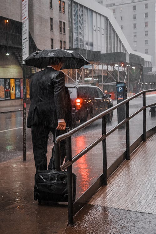 bezplatná Základová fotografie zdarma na téma déšť, deštník, dlažba Základová fotografie