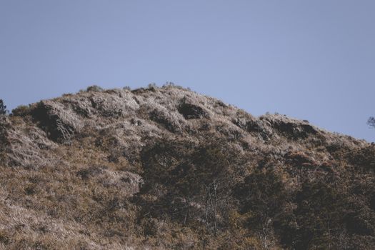 A barren hill covered in dry grass under a bright clear blue sky, capturing the essence of a dry landscape.