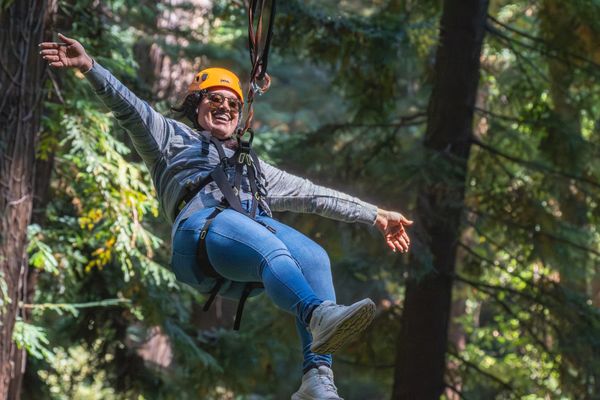 Zipline genom skog
