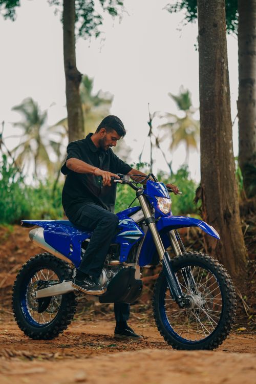 Free Man on a blue dirt bike navigating a tropical forest trail, surrounded by trees and greenery. Stock Photo