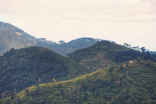 Free Lush green hills in West Java, Indonesia, under a cloudy sky. Stock Photo