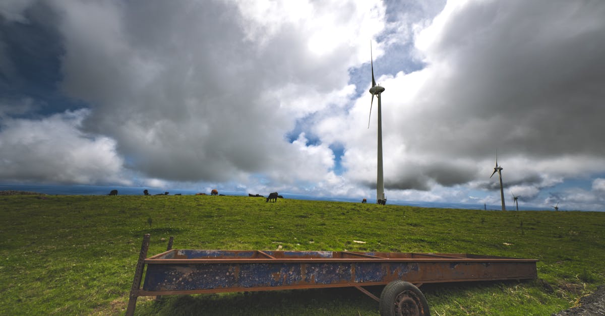 國際:OpenAI與微軟達成合作架構初步共識,推動AI技術發展